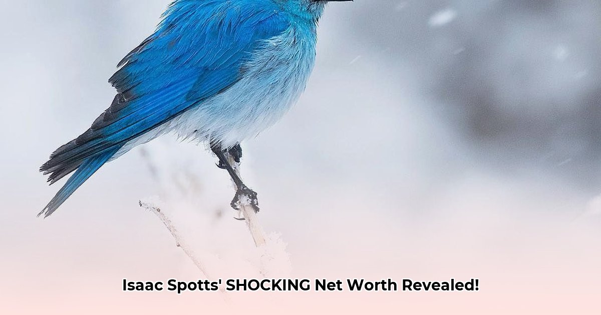 isaac-spotts-net-worth